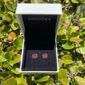 Pandora Earrings